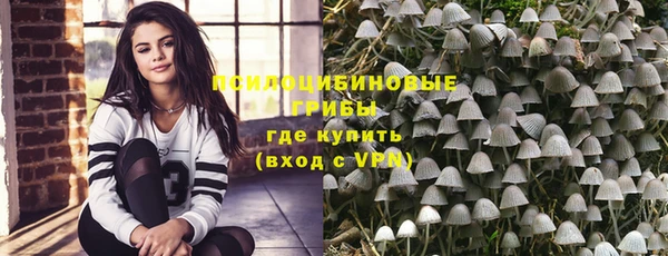 стафф Арсеньев