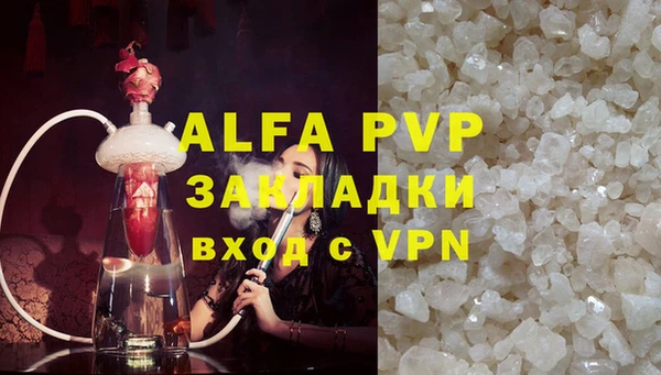 стафф Арсеньев