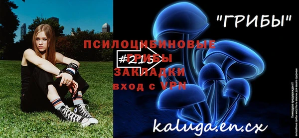 тгк Аркадак