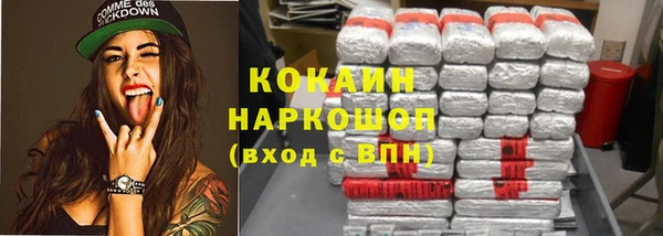 стафф Арсеньев