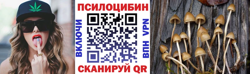 KRAKEN зеркало  дарнет шоп  Волжский  Псилоцибиновые грибы Magic Shrooms 
